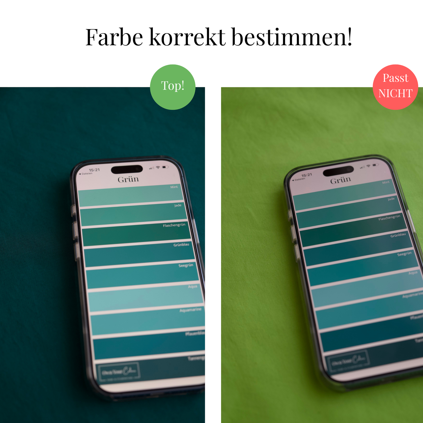 Shopping-Farbpalette (digital)