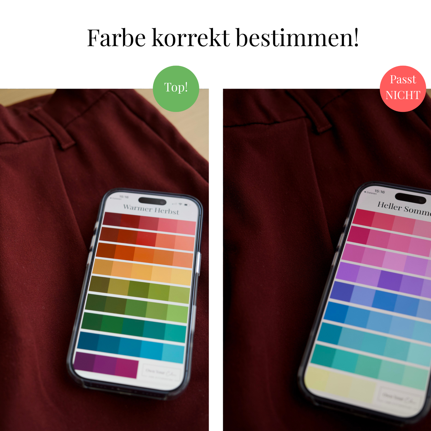 Shopping-Farbpalette (digital)