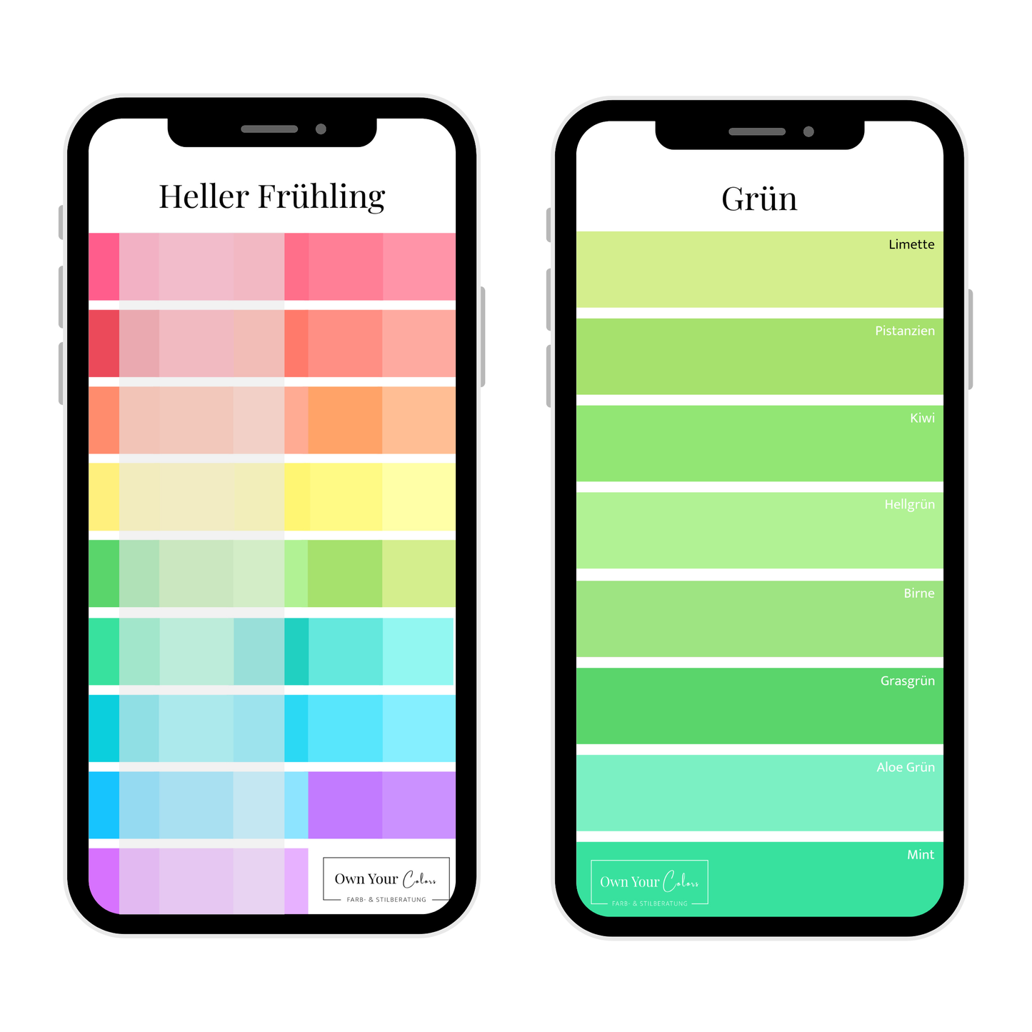Shopping-Farbpalette (digital)
