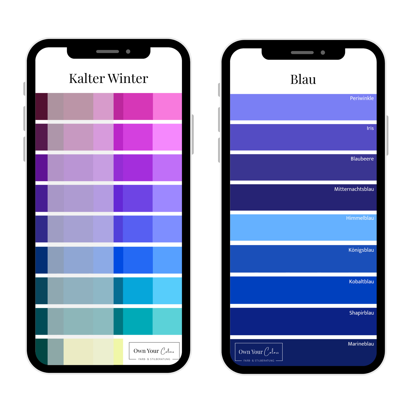 Shopping-Farbpalette (digital)