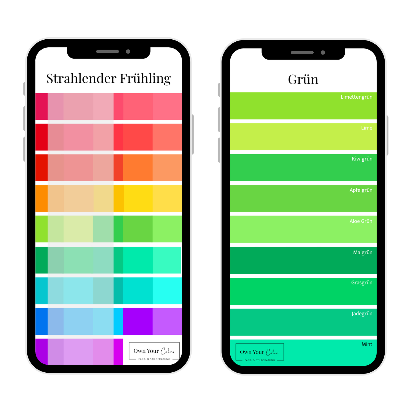Shopping-Farbpalette (digital)
