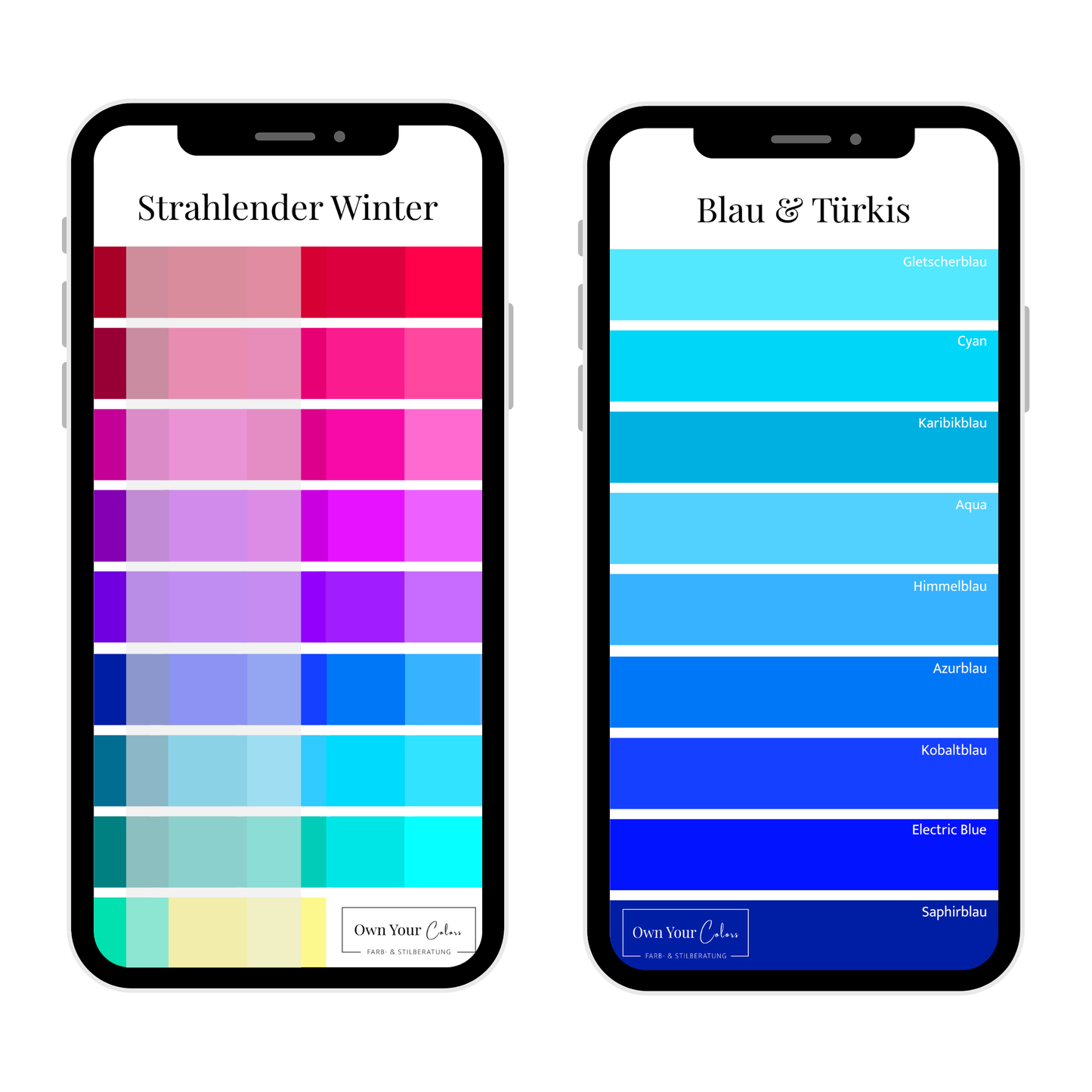 Shopping-Farbpalette (digital)