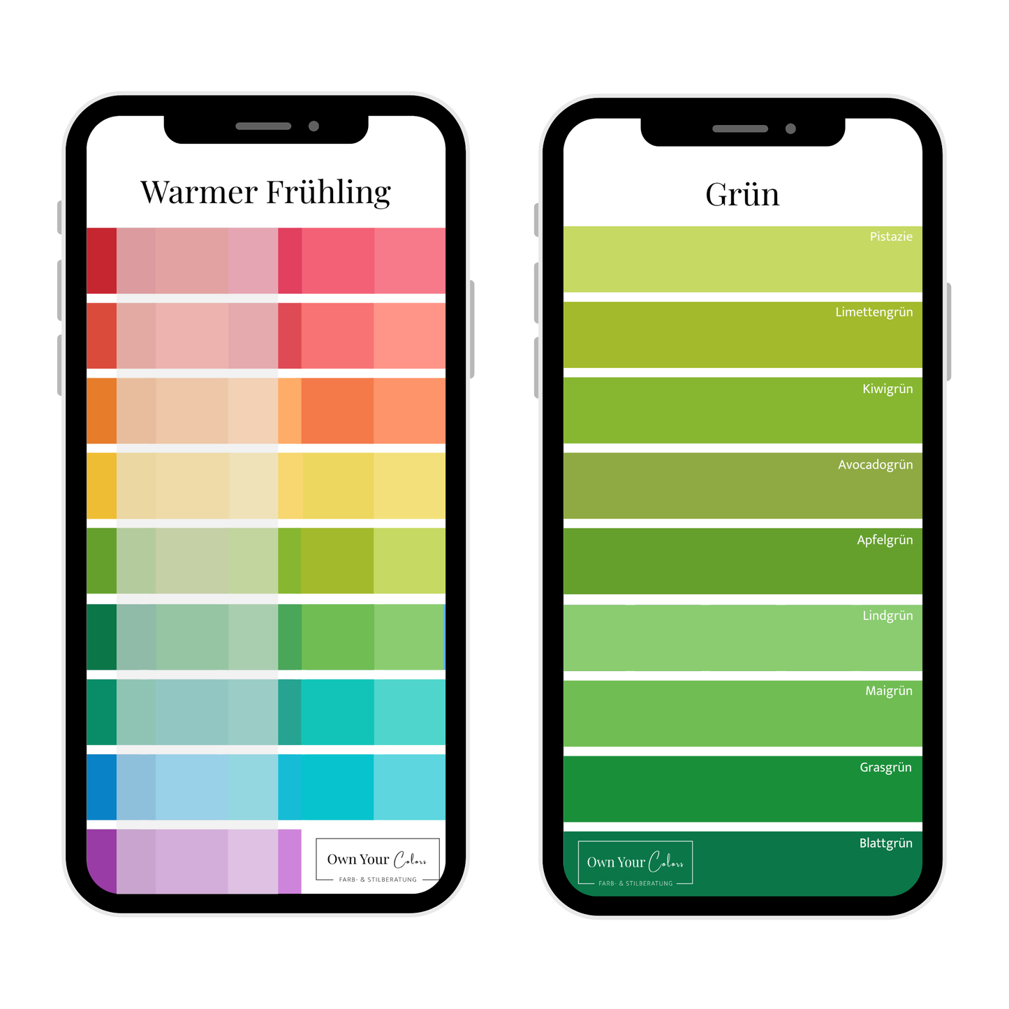 Shopping-Farbpalette (digital)