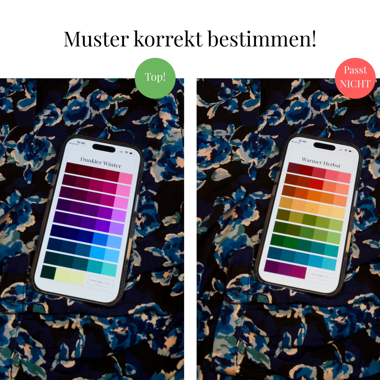 Shopping-Farbpalette (digital)